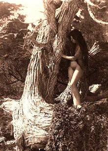 Victorian Nude Photos